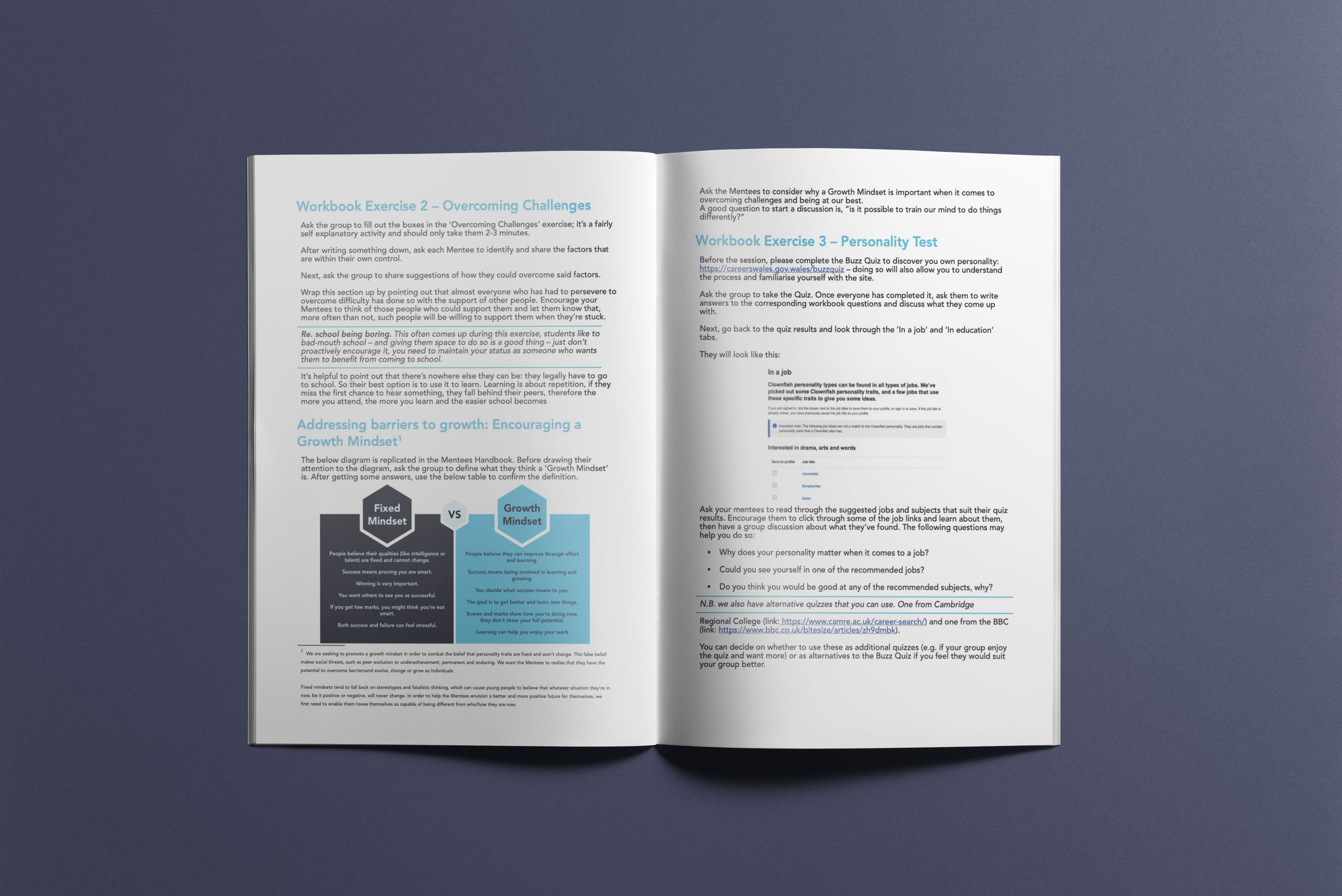 Form the Future Mentors Workbook interior